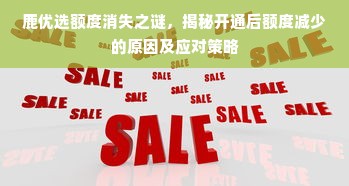 鹿优选额度消失之谜，揭秘开通后额度减少的原因及应对策略