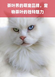 茶叶界的萌宠品牌，宠物茶叶的独特魅力