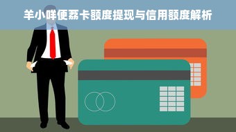 羊小咩便荔卡额度提现与信用额度解析