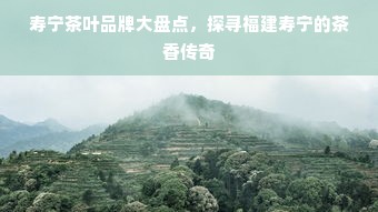 寿宁茶叶品牌大盘点，探寻福建寿宁的茶香传奇