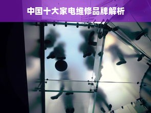 中国十大家电维修品牌解析