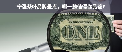 宁强茶叶品牌盘点，哪一款值得你品鉴？