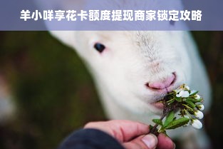 羊小咩享花卡额度提现商家锁定攻略