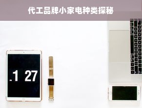 代工品牌小家电种类探秘