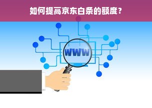 如何提高京东白条的额度？