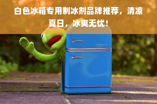 白色冰箱专用制冰剂品牌推荐，清凉夏日，冰爽无忧！