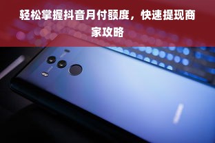 轻松掌握抖音月付额度，快速提现商家攻略