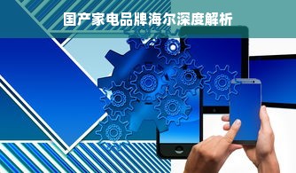 国产家电品牌海尔深度解析