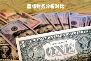 品牌财务分析对比