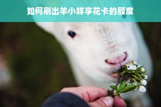 如何刷出羊小咩享花卡的额度