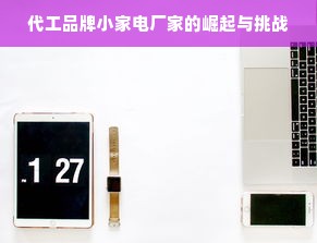 代工品牌小家电厂家的崛起与挑战