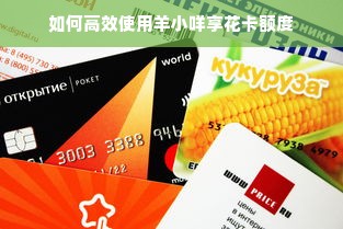 如何高效使用羊小咩享花卡额度