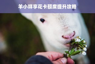 羊小咩享花卡额度提升攻略