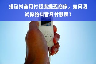 揭秘抖音月付额度提现商家，如何测试你的抖音月付额度？