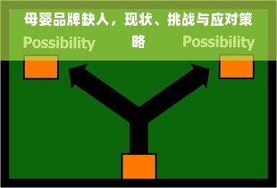 母婴品牌缺人，现状、挑战与应对策略