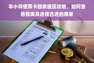 羊小咩便荔卡额度提现攻略，如何查看额度及选择合适的商家