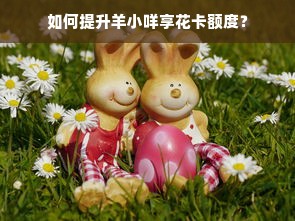如何提升羊小咩享花卡额度？