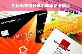 如何有效提升羊小咩享花卡额度