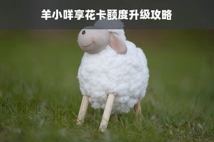 甘肃特色加盟餐饮品牌，探寻魅力与商机