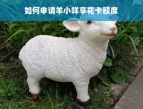 如何申请羊小咩享花卡额度