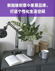 新加坡创意小家居品牌，打造个性化生活空间