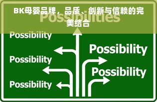 BK母婴品牌，品质、创新与信赖的完美结合