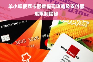 羊小咩便荔卡额度提现攻略及支付额度限制揭秘