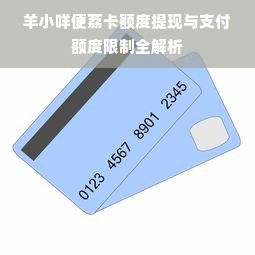 羊小咩便荔卡额度提现与支付额度限制全解析