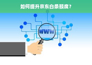 如何提升京东白条额度？