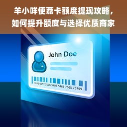 羊小咩便荔卡额度提现攻略，如何提升额度与选择优质商家