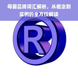 母婴品牌词汇解析，从概念到实例的全方位解读