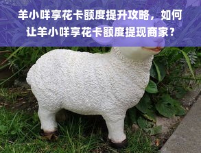 羊小咩享花卡额度提升攻略，如何让羊小咩享花卡额度提现商家？