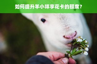 如何提升羊小咩享花卡的额度？