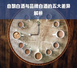 自酿白酒与品牌白酒的五大差异解析