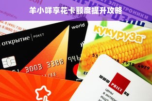 羊小咩享花卡额度提升攻略