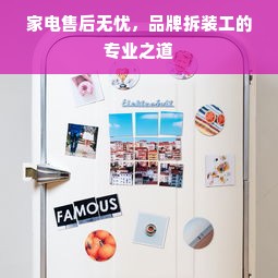 家电售后无忧，品牌拆装工的专业之道