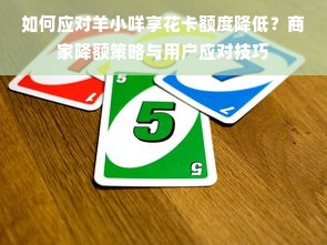 如何应对羊小咩享花卡额度降低？商家降额策略与用户应对技巧