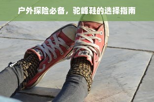 户外探险必备，驼峰鞋的选择指南