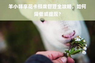 羊小咩享花卡额度管理全攻略，如何降低或提现？