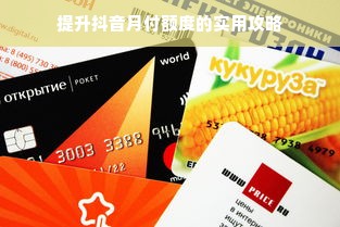 提升抖音月付额度的实用攻略