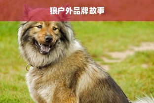 狼户外品牌故事