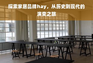 探索家居品牌hay，从历史到现代的演变之旅