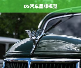 DS汽车品牌概览