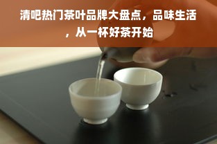 清吧热门茶叶品牌大盘点，品味生活，从一杯好茶开始