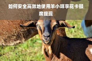 如何安全高效地使用羊小咩享花卡额度提现