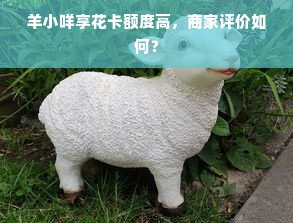 鹿优选先享卡额度兑现，鹿优选怎样增加额度