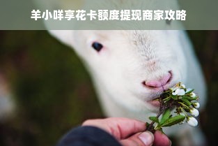 Mamamoo母婴品牌，品质与关怀的完美结合