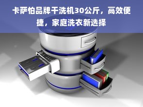卡萨怕品牌干洗机30公斤，高效便捷，家庭洗衣新选择