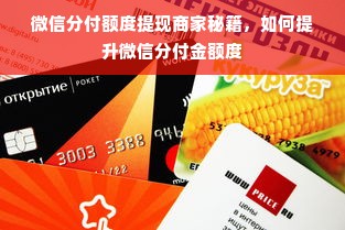 微信分付额度提现商家秘籍，如何提升微信分付金额度