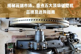 揭秘高端市场，盘点五大顶级破壁机品牌及选购指南